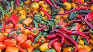 Adding Spice with Chile Infused Sea Salts