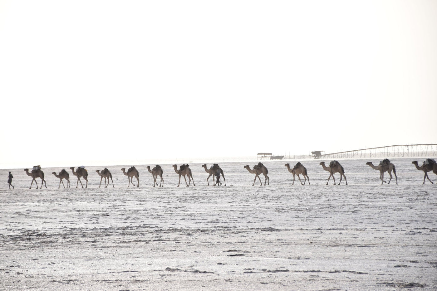 Travelogue:  Salt Mining in Ethiopia’s Afar Region